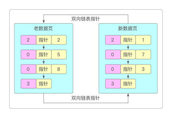 分裂过程